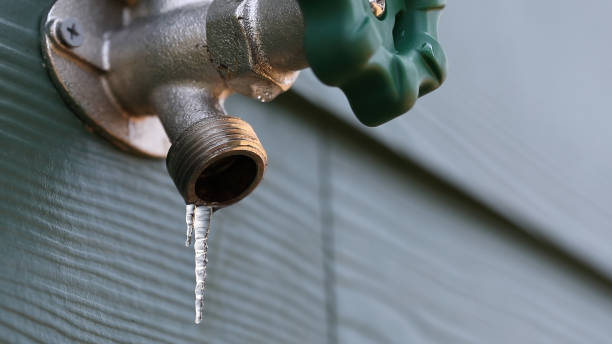 Best Leak Detection Services  in Alexandria, KY